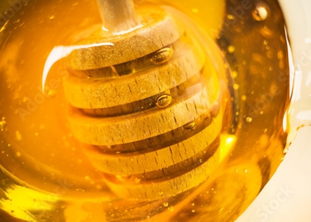 500_F_459390394_1baaRUE9QrydpLzKBJ3UpTUfpy85jqg6